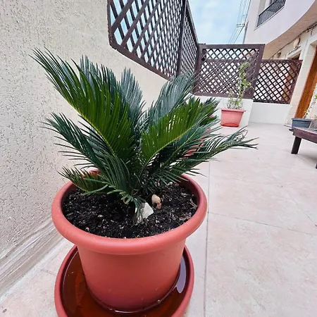 아파트 Bright Seaside Maisonette With Private Terrace *